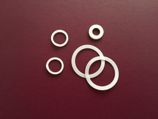 Good Lubricating PTFE Ring Gasket