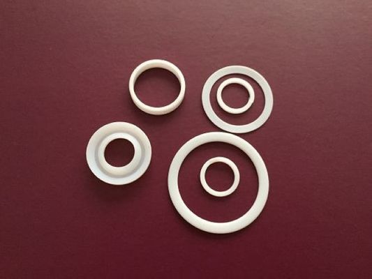 Good Lubricating PTFE Ring Gasket